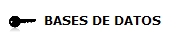Copyright BASES DE DATOS